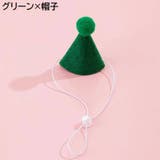 ペット用 バースデー 誕生日 | PlusNao | 詳細画像7 