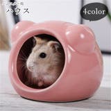 ハムスターハウス ハムスター用ハウス 小動物用ハウス | PlusNao | 詳細画像1 