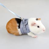 小動物用 ペットウェア リード | PlusNao | 詳細画像3