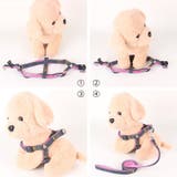 ハーネス リード 2点セット | PlusNao | 詳細画像6 