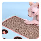 猫 おもちゃ もぐらたたき | PlusNao | 詳細画像11