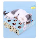 猫 おもちゃ もぐらたたき | PlusNao | 詳細画像7