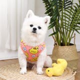 ドッグウェア 犬服 タンクトップ | PlusNao | 詳細画像6 