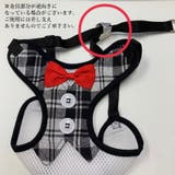 ハーネス リード ２点セット | PlusNao | 詳細画像11 