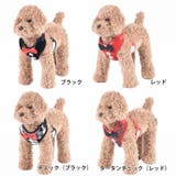 ハーネス リード ２点セット | PlusNao | 詳細画像12 