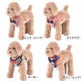 ハーネス リード ２点セット | PlusNao | 詳細画像13 