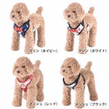 ハーネス リード ２点セット | PlusNao | 詳細画像14 