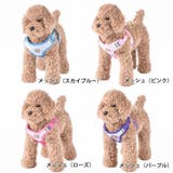 ハーネス リード ２点セット | PlusNao | 詳細画像15 