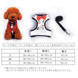 ハーネス リード ２点セット | PlusNao | 詳細画像16 