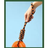 犬用おもちゃ 噛むおもちゃ ラバートーイ | PlusNao | 詳細画像5 