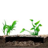 アクアリウム用シェルター エビの隠れ家 棲み処 | PlusNao | 詳細画像2