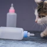 ペット用哺乳瓶 哺乳器 50ml | PlusNao | 詳細画像2 