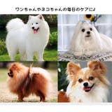 ペット用コーム クシ ブラシ | PlusNao | 詳細画像4 