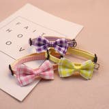 猫用首輪 カラー ペット用品 | PlusNao | 詳細画像5 