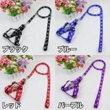 ハーネス リード 2点セット | PlusNao | 詳細画像13 