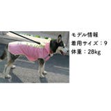 レインコート 犬の服 犬服 | PlusNao | 詳細画像11 