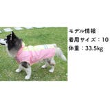 レインコート 犬の服 犬服 | PlusNao | 詳細画像12 