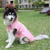 レインコート 犬の服 犬服 | PlusNao | 詳細画像3 