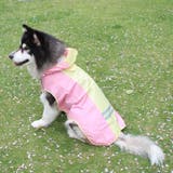レインコート 犬の服 犬服 | PlusNao | 詳細画像4 