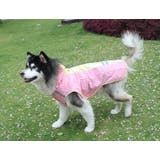 レインコート 犬の服 犬服 | PlusNao | 詳細画像5 
