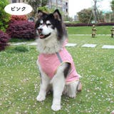 レインコート 犬の服 犬服 | PlusNao | 詳細画像8 