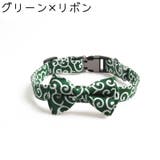 ペット用首輪 首輪 カラー | PlusNao | 詳細画像9