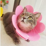 エリザベスカラー 猫用 犬用 | PlusNao | 詳細画像2