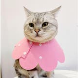 エリザベスカラー 猫用 犬用 | PlusNao | 詳細画像4
