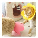 エリザベスカラー 猫用 犬用 | PlusNao | 詳細画像5
