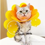 エリザベスカラー 猫用 犬用 | PlusNao | 詳細画像6