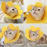 エリザベスカラー 猫用 犬用 | PlusNao | 詳細画像7
