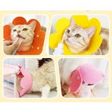 エリザベスカラー 猫用 犬用 | PlusNao | 詳細画像8