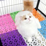 ペット用マット 単品 1枚 | PlusNao | 詳細画像3 