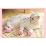 猫用足カバー 爪カバー シリコン製 | PlusNao | 詳細画像4