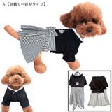 犬服 袴 羽織り | PlusNao | 詳細画像3 