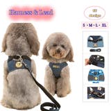 ハーネス リード 2点セット | PlusNao | 詳細画像1