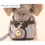 ハーネス リード 2点セット | PlusNao | 詳細画像17