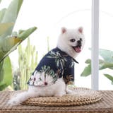 ドッグウェア アロハシャツ 犬服 | PlusNao | 詳細画像10 