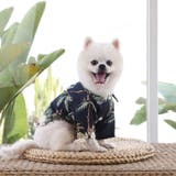 ドッグウェア アロハシャツ 犬服 | PlusNao | 詳細画像11 