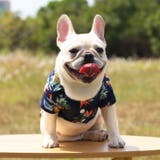 ドッグウェア アロハシャツ 犬服 | PlusNao | 詳細画像3 