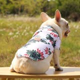 ドッグウェア アロハシャツ 犬服 | PlusNao | 詳細画像4 