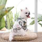 ドッグウェア アロハシャツ 犬服 | PlusNao | 詳細画像6 