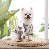 ドッグウェア アロハシャツ 犬服 | PlusNao | 詳細画像7 