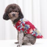 ドッグウェア アロハシャツ 犬服 | PlusNao | 詳細画像9 