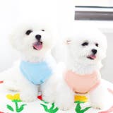 ドッグウェア 犬服 キャットウェア | PlusNao | 詳細画像2