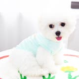 ドッグウェア 犬服 キャットウェア | PlusNao | 詳細画像4