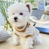 ドッグウェア 犬服 セーター | PlusNao | 詳細画像3