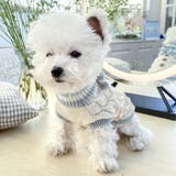 ドッグウェア 犬服 セーター | PlusNao | 詳細画像5
