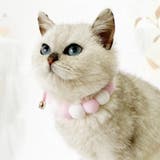 ペット用チョーカー チョーカー ネックレス | PlusNao | 詳細画像2 