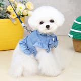 ペット服 デニムシャツ 犬 | PlusNao | 詳細画像3